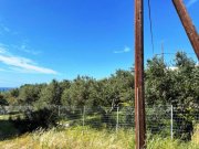 Makry Gialos Südostkreta, Makry Gialos: Grundstück mit Meerblick zu verkaufen Grundstück kaufen